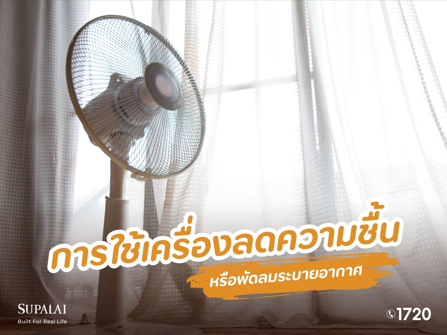 ป้องกันเชื้อรา ช่วงหน้าฝน3.jpg